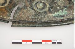 Foto von Bronzebreitrandschale (NHMW-PRAE-025543)